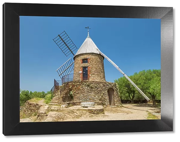 Collioure Windmill, Collioure, Pyrenees Orientales, Occitanie Region, France