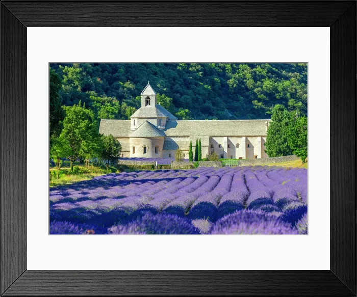 Framed Print : France, Provence-Alpes-Cote d Azur, Gordes, Senanque abbey (abbaie de Senanque) & field of lavender Framed Print : France, Provence-Alpes-Cote d Azur, Gordes, Senanque abbey (abbaie de Senanque) & field of lavender
