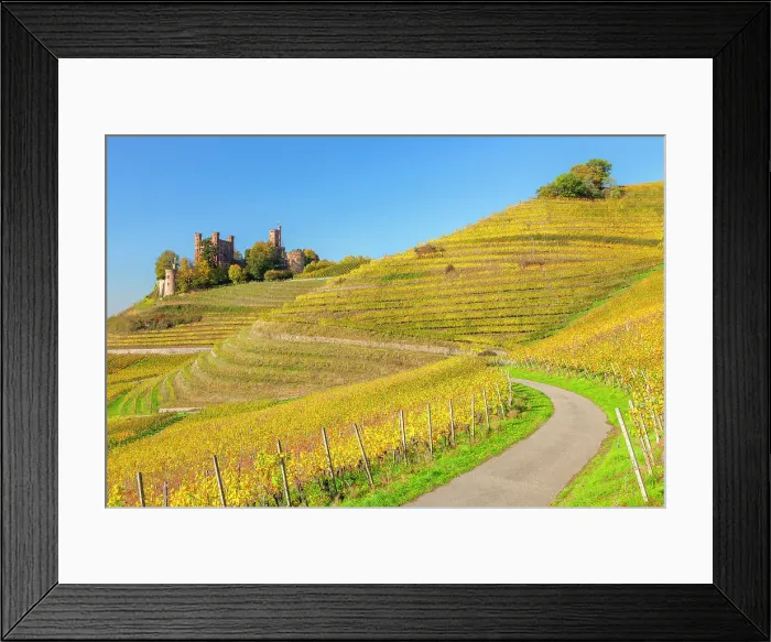 Framed Print : Ortenberg castle, Kinzigtal Valley, Black Forest, Baden Wurttemberg, Germany Framed Print : Ortenberg castle, Kinzigtal Valley, Black Forest, Baden Wurttemberg, Germany
