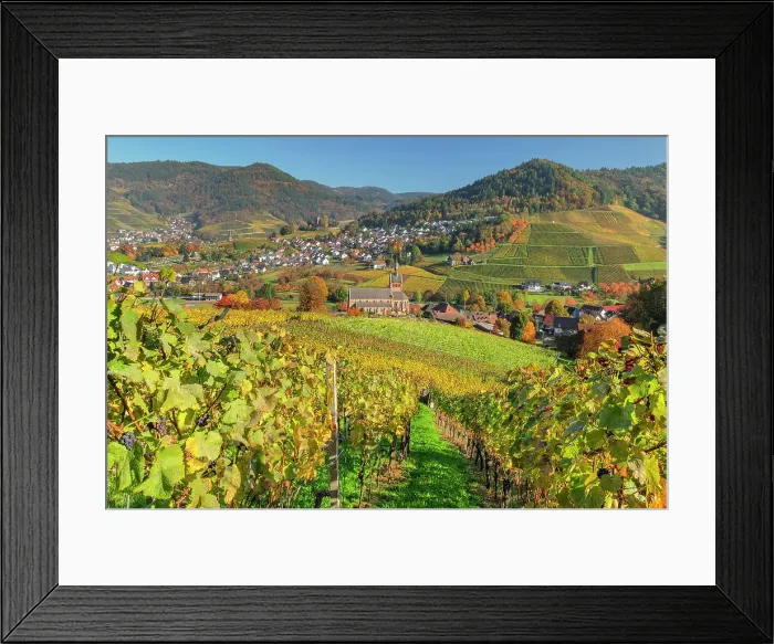 Framed Print : View over vineyards to Kappelrodeck in autumn, Black Forest, Baden-Wurttemberg, Germany