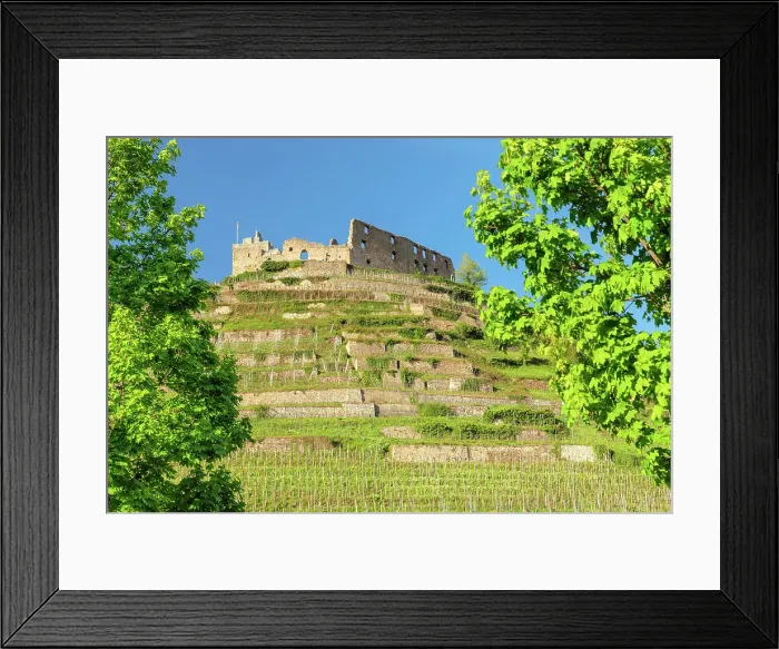 Framed Print : StÔÇÜAaaufen Castle ruins, Staufen im Breisgau, Markgrafler Land, Black Forest, Baden Wurttemberg, Germany
