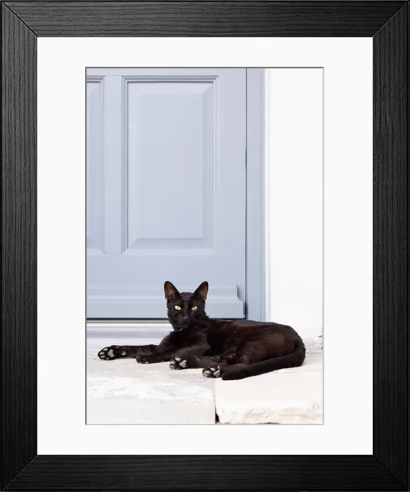 Framed Print : A cat cools off in a doorway in Assos, Kefalonia, Ionian Islands, Greece Framed Print : A cat cools off in a doorway in Assos, Kefalonia, Ionian Islands, Greece