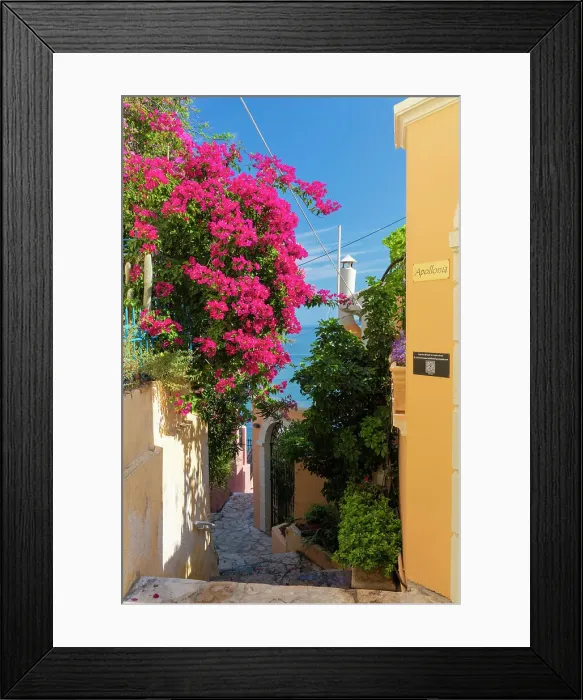 Framed Print : Bougainvillea in Assos, Kefalonia, Ionian Islands, Greece Framed Print : Bougainvillea in Assos, Kefalonia, Ionian Islands, Greece
