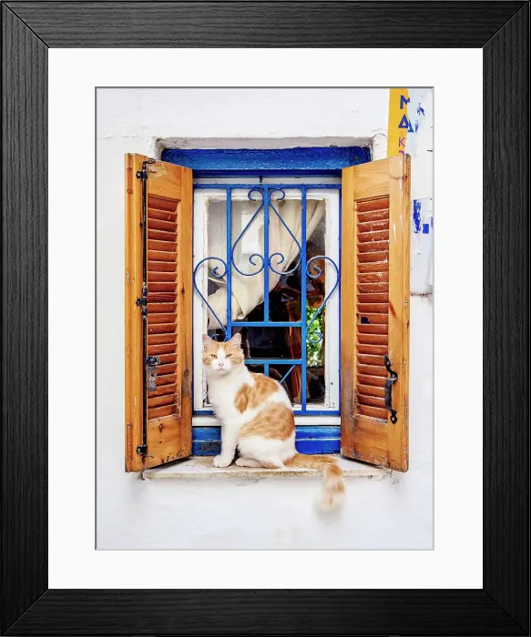 Framed Print : Cat at Anafiotika Neighborhood, Athens, Attica, Greece Framed Print : Cat at Anafiotika Neighborhood, Athens, Attica, Greece
