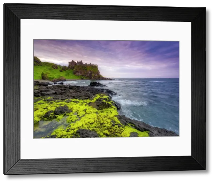 Framed Print : Ruins of Dunluce castle at sunset, Portrush, Bushmills, Giants causeway, Causeway coastel route, north coast of Ireland, Ballycastle, County Antrim, Northern Ireland, UK, Europe Framed Print : Ruins of Dunluce castle at sunset, Portrush, Bushmills, Giants causeway, Causeway coastel route, north coast of Ireland, Ballycastle, County Antrim, Northern Ireland, UK, Europe