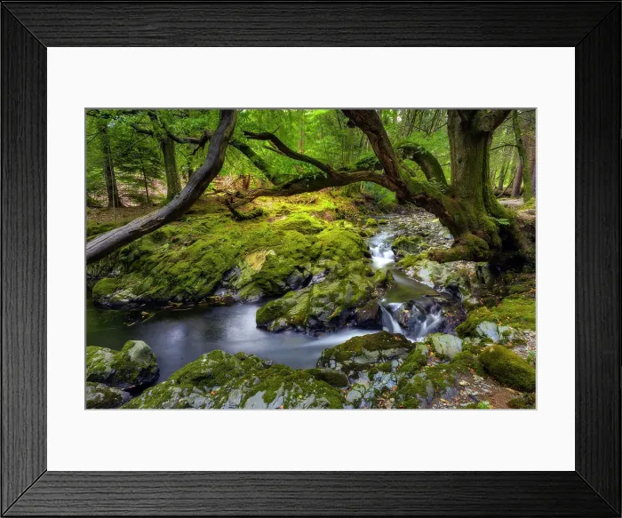 Framed Print : Tollymore Forest Park, (one of the Game of Thrones filming locations), Shimna River, Newcastle, County Down, Ulster, Northern Ireland, UK, Europe Framed Print : Tollymore Forest Park, (one of the Game of Thrones filming locations), Shimna River, Newcastle, County Down, Ulster, Northern Ireland, UK, Europe