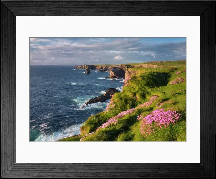 Framed Print : Kilkee Cliffs and pink Sea Thrift Wildflowers ( Armeria maritima), Wild Atlantic Way, Co. Clare, west coast of Ireland, Ireland, Europe Framed Print : Kilkee Cliffs and pink Sea Thrift Wildflowers ( Armeria maritima), Wild Atlantic Way, Co. Clare, west coast of Ireland, Ireland, Europe