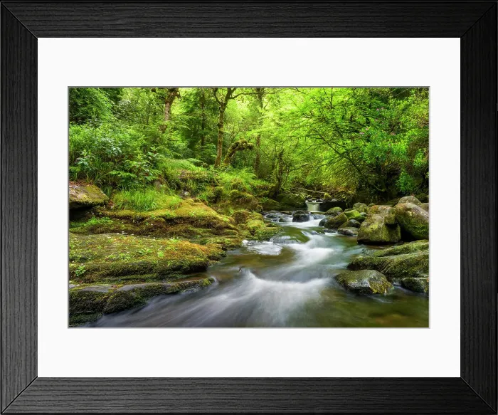 Framed Print : Torc brook in Killarney National Park, Killarney, Ring of Kerry, Co. Kerry, Ireland, Europe