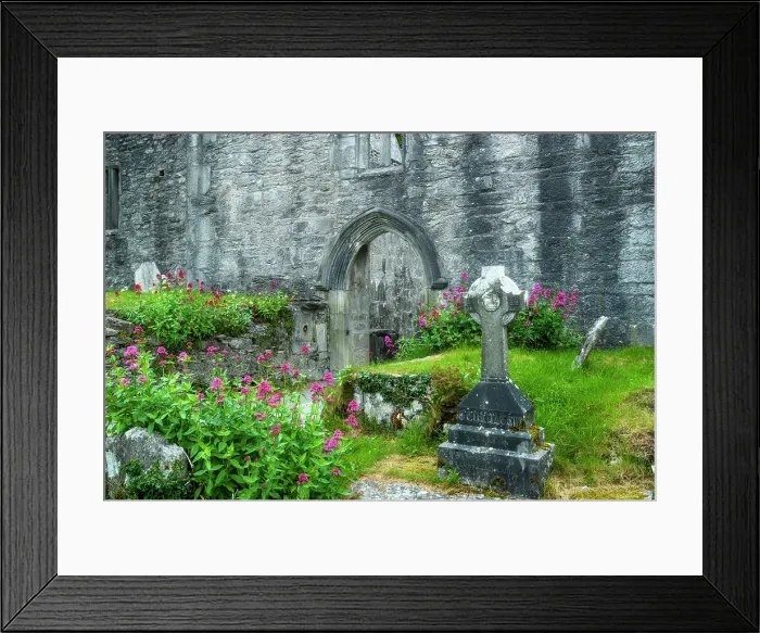 Framed Print : Muckross Abbey ruins and gravestones, Killarney National Park, Killarney, Ring of Kerry, Co. Kerry, Ireland, Europe Framed Print : Muckross Abbey ruins and gravestones, Killarney National Park, Killarney, Ring of Kerry, Co. Kerry, Ireland, Europe