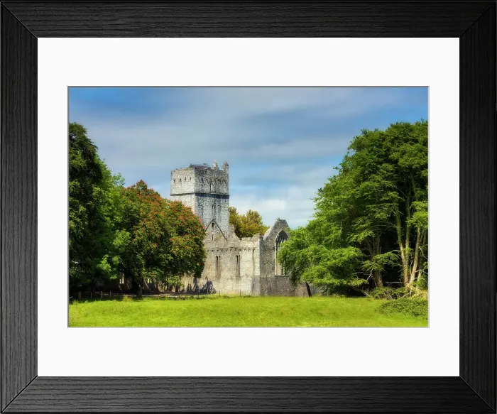 Framed Print : Muckross Abbey ruins, Killarney National Park, Killarney, Ring of Kerry, Co. Kerry, Ireland, Europe Framed Print : Muckross Abbey ruins, Killarney National Park, Killarney, Ring of Kerry, Co. Kerry, Ireland, Europe