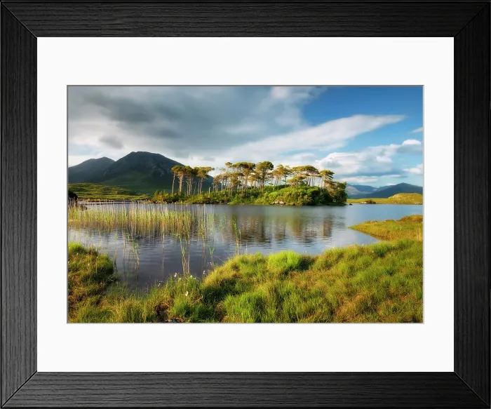 Framed Print : Pine Island on the Derryclare Lough lake, Connemara National Park, Connemara, County Galway, Connacht province, Inagh Valley, Ireland, Europe Framed Print : Pine Island on the Derryclare Lough lake, Connemara National Park, Connemara, County Galway, Connacht province, Inagh Valley, Ireland, Europe