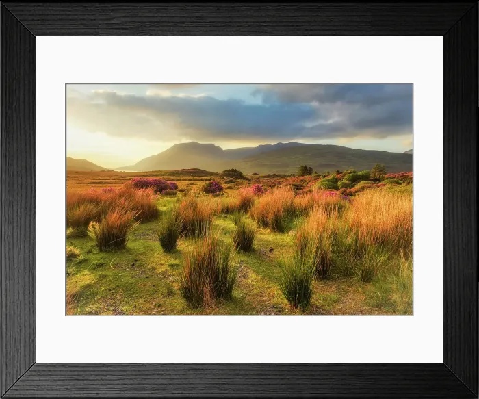 Framed Print : Highlands of Connemara, Connemara Loop, Connemara National Park, County Galway, Connacht province, Inagh Valley, Ireland, Europe