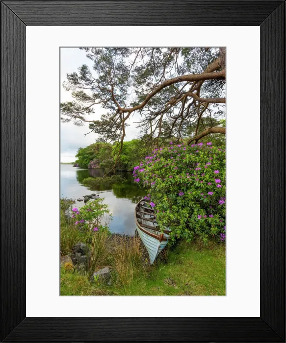 Framed Print : Rowing boat at lough fee on the renvyle peninsula, Connema, connacht region, Co Mayo, Europe Framed Print : Rowing boat at lough fee on the renvyle peninsula, Connema, connacht region, Co Mayo, Europe