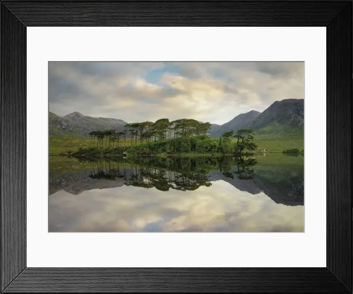 Framed Print : Pine Island on the Derryclare Lough lake, Connemara National Park, Connemara, County Galway, Connacht province, Inagh Valley, Ireland, Europe Framed Print : Pine Island on the Derryclare Lough lake, Connemara National Park, Connemara, County Galway, Connacht province, Inagh Valley, Ireland, Europe
