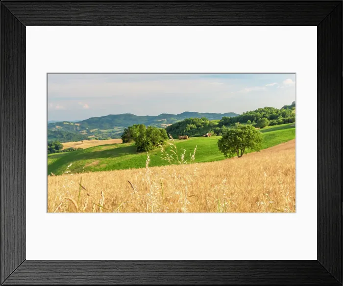 Framed Print : europe, Italy, The Marches. Montefeltro landscape