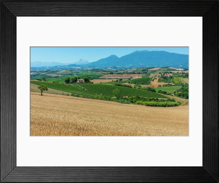 Framed Print : europe, Italy, The Marches. The landscape with vineyards and mountain views near to Offida Framed Print : europe, Italy, The Marches. The landscape with vineyards and mountain views near to Offida