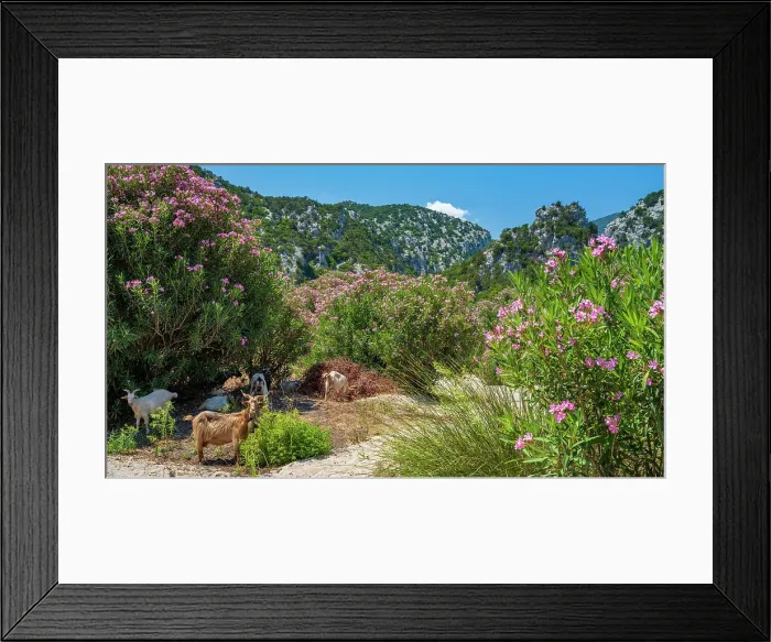 Framed Print : Europe, Italy, Sardinia. The footpath near to Cala Luna towards the mountains Framed Print : Europe, Italy, Sardinia. The footpath near to Cala Luna towards the mountains