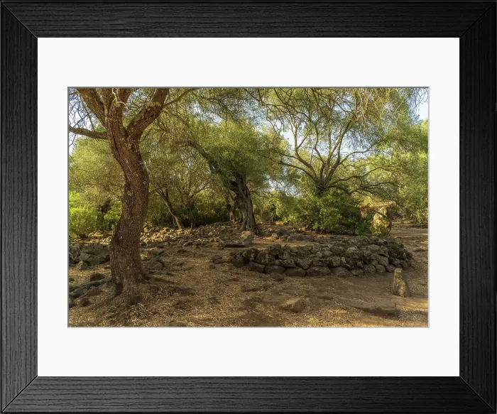 Framed Print : Europe, Italy, Sardinia. The archeologic site of Santa Cristina with the nuragic village Framed Print : Europe, Italy, Sardinia. The archeologic site of Santa Cristina with the nuragic village