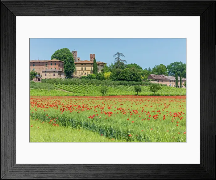 Framed Print : Italy, Tuscany, poppy field, Lucignano d Arbia village Framed Print : Italy, Tuscany, poppy field, Lucignano d Arbia village