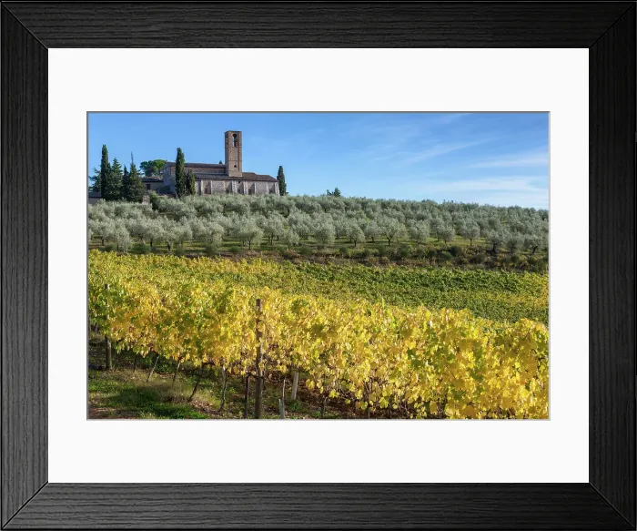 Framed Print : Italy, Tuscany, Monte Oliveto church, vineyard, olive trees