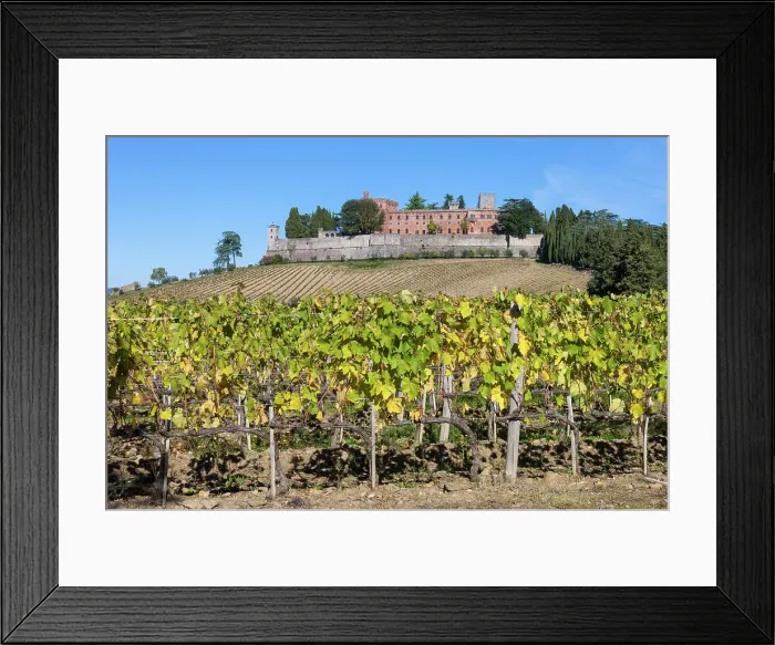 Framed Print : Italy, Tuscany, Chianti landscape, Brolio castle, vineyard Framed Print : Italy, Tuscany, Chianti landscape, Brolio castle, vineyard