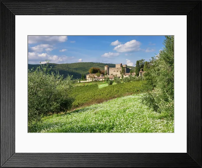Framed Print : Italy, Tuscany, Chianti landscape, Meleto castle, olive trees Framed Print : Italy, Tuscany, Chianti landscape, Meleto castle, olive trees