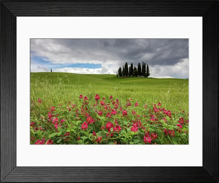 Framed Print : Italy, Tuscany, Crete landscape, near Torrenieri town, cypresses