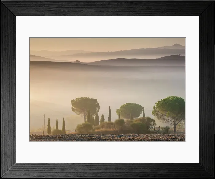 Framed Print : Italy, Tuscany, Crete landscape, avenue near Poderino estate
