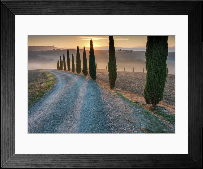 Framed Print : Italy, Tuscany, Crete landscape, avenue near Poderino estate, cyptresses Framed Print : Italy, Tuscany, Crete landscape, avenue near Poderino estate, cyptresses