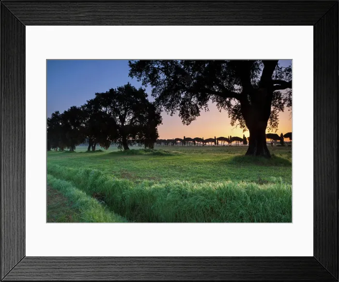 Framed Print : Italy, Tuscany, Badiola farmhaus, near Castiglione della Pescaia Framed Print : Italy, Tuscany, Badiola farmhaus, near Castiglione della Pescaia