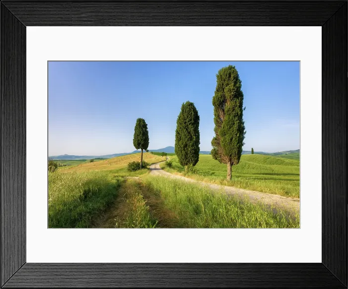 Framed Print : Italy, Tuscany, Crete landscape, near Terrapille estate, near Pienza town, cypresses Framed Print : Italy, Tuscany, Crete landscape, near Terrapille estate, near Pienza town, cypresses