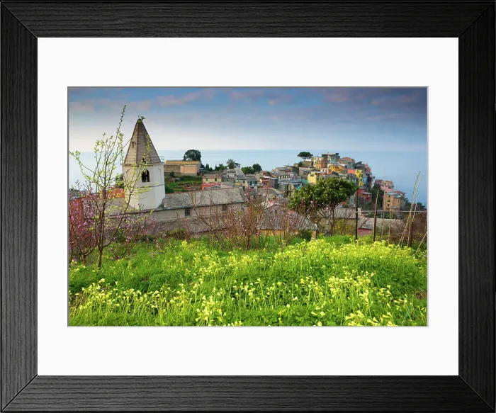 Framed Print : Italy, Liguria, Cinque Terre, Corniglia village Framed Print : Italy, Liguria, Cinque Terre, Corniglia village