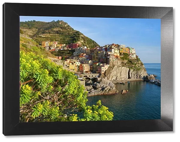 Italy, Liguria, Cinque Terre, Manarola village