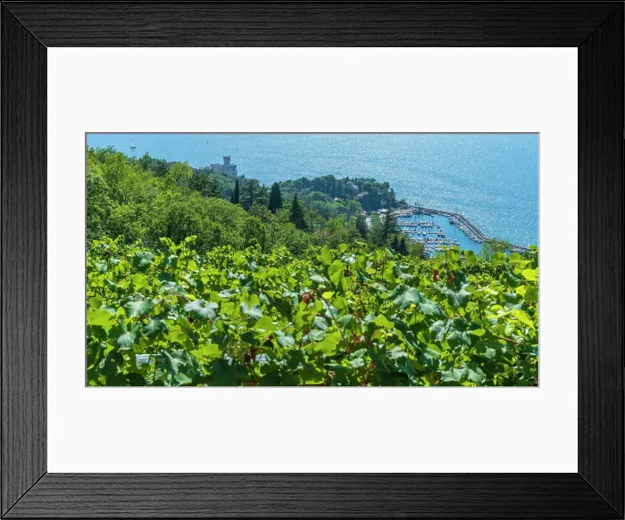 Framed Print : europe, Italy, Friuli Venezia Giulia. View from the hiking path downwards to the castle of Miramare near to Triest and Grignano Framed Print : europe, Italy, Friuli Venezia Giulia. View from the hiking path downwards to the castle of Miramare near to Triest and Grignano