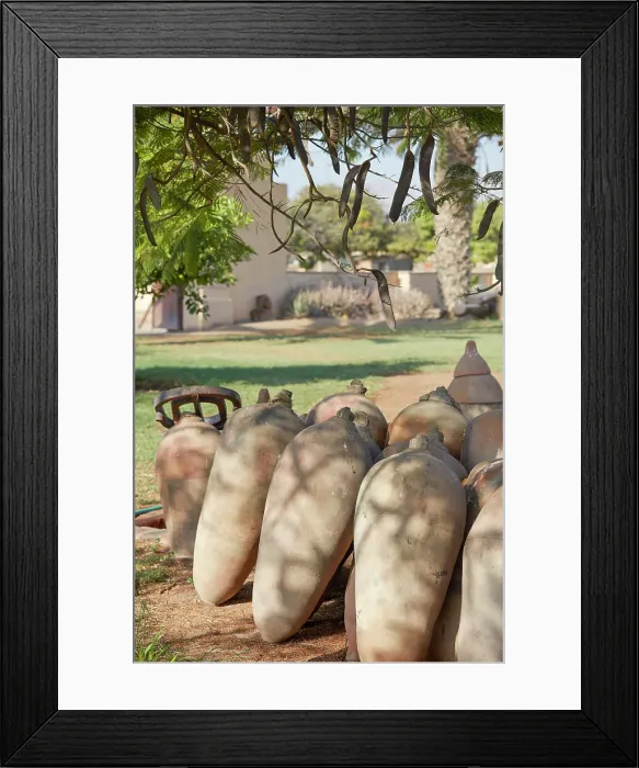 Framed Print : Old amphorae for pisco fermentation at La Caravedo'Hacienda & Distillery, Ica, Peru. La Caravedo is the producer of the famous Pisco Porton Framed Print : Old amphorae for pisco fermentation at La Caravedo'Hacienda & Distillery, Ica, Peru. La Caravedo is the producer of the famous Pisco Porton