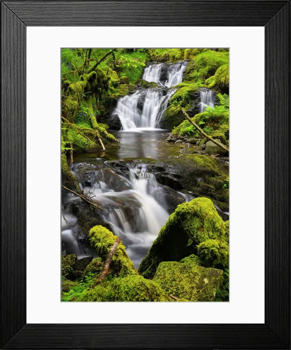 Framed Print : Forest stream Eas Dearg near Loch Ard, Aberfoyle, Stirling, Perthshire, Scotland, UK Framed Print : Forest stream Eas Dearg near Loch Ard, Aberfoyle, Stirling, Perthshire, Scotland, UK