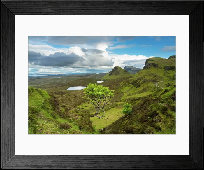 Framed Print : Lone tree at Quiraing with views of Loch Leum nu Luirginn and Loch Cleat, Isle of Skye, Highland Region, Scotland, United Kingdom Framed Print : Lone tree at Quiraing with views of Loch Leum nu Luirginn and Loch Cleat, Isle of Skye, Highland Region, Scotland, United Kingdom