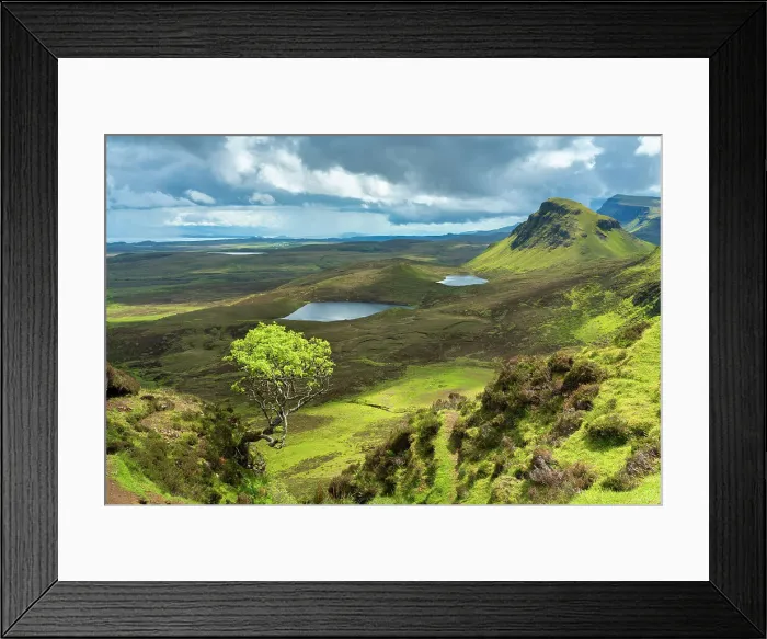 Framed Print : Lone tree at Quiraing with views of Loch Leum nu Luirginn and Loch Cleat, Isle of Skye, Highland Region, Scotland, United Kingdom Framed Print : Lone tree at Quiraing with views of Loch Leum nu Luirginn and Loch Cleat, Isle of Skye, Highland Region, Scotland, United Kingdom