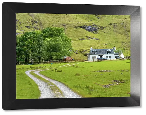 Road leading to cottage, Glencoe, Scottish Highlands, Scotland, UK