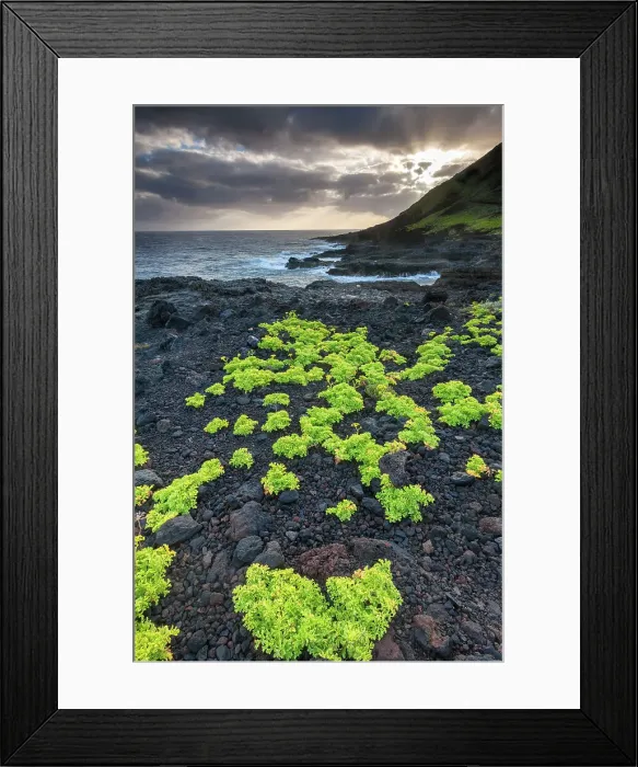 Framed Print : Spain, Canary Islands, El Hierro, Punta Norte Framed Print : Spain, Canary Islands, El Hierro, Punta Norte