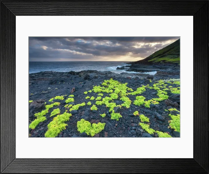 Framed Print : Spain, Canary Islands, El Hierro, Punta Norte Framed Print : Spain, Canary Islands, El Hierro, Punta Norte