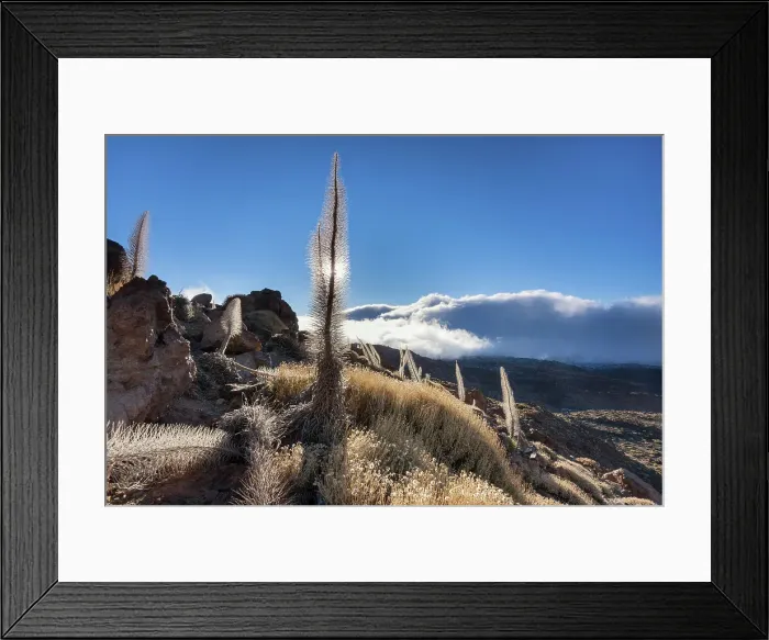 Framed Print : Spain, Canary Islands, Tenerife, Teide National Park Framed Print : Spain, Canary Islands, Tenerife, Teide National Park