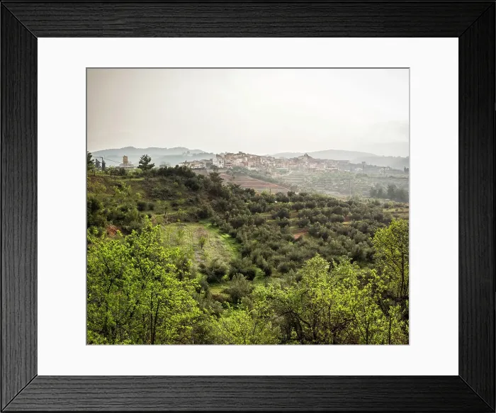 Framed Print : Spain, Catalonia, Tarragona, El Masroig, Rural landscape around the Masroig village Framed Print : Spain, Catalonia, Tarragona, El Masroig, Rural landscape around the Masroig village