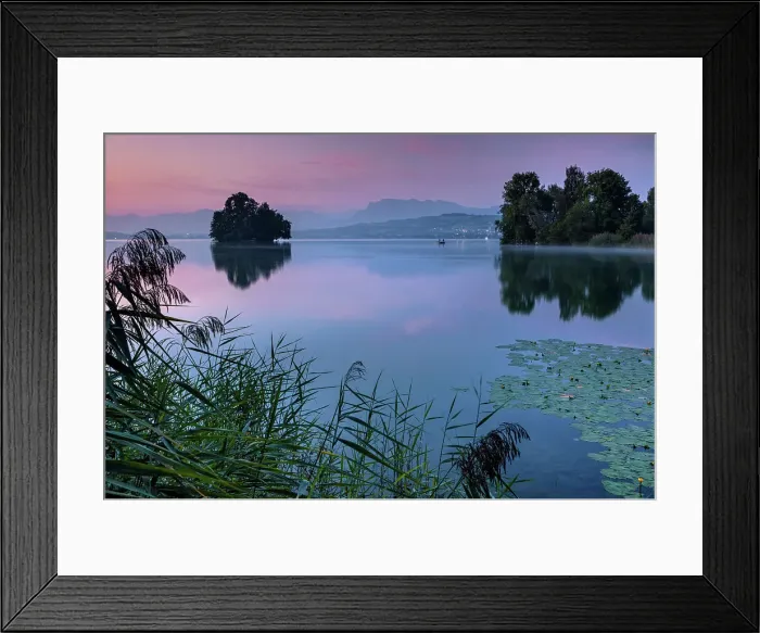 Framed Print : Switzerland, Canton Lucerne, Lake Sempach, Gamma Island Framed Print : Switzerland, Canton Lucerne, Lake Sempach, Gamma Island