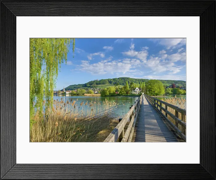 Framed Print : Switzerland, Canton of Thurgau, island, boardwalk, Rhine river, near Eschenz village