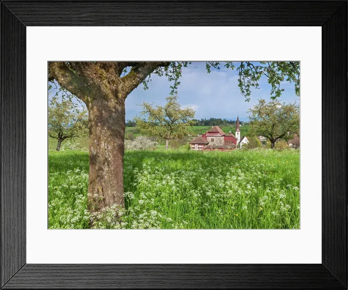 Framed Print : Switzerland, Canton of Thurgau, castle