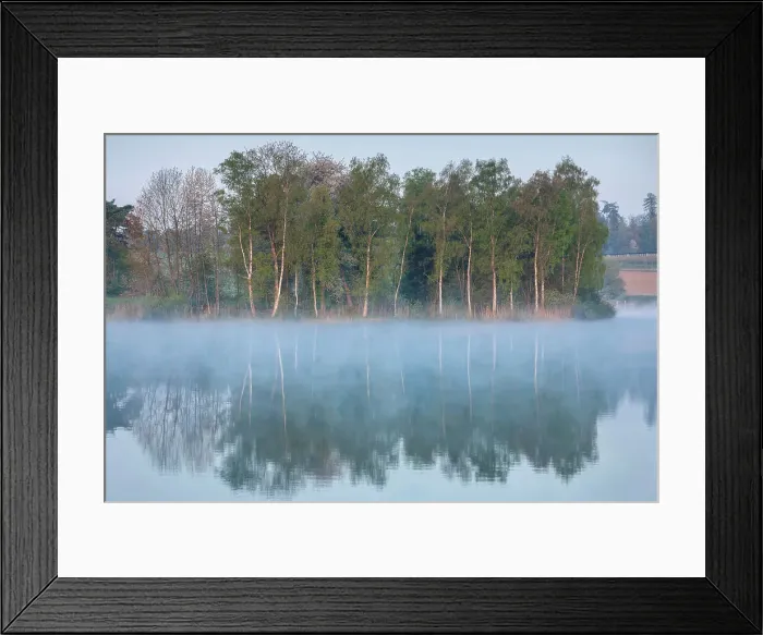 Framed Print : Switzerland, Canton of Thurgau, lake, reflection, morning fog Framed Print : Switzerland, Canton of Thurgau, lake, reflection, morning fog