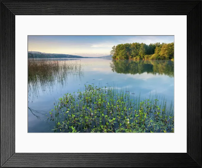 Framed Print : Switzerland, Canton of Aargau, Hallwilersee, lake Framed Print : Switzerland, Canton of Aargau, Hallwilersee, lake