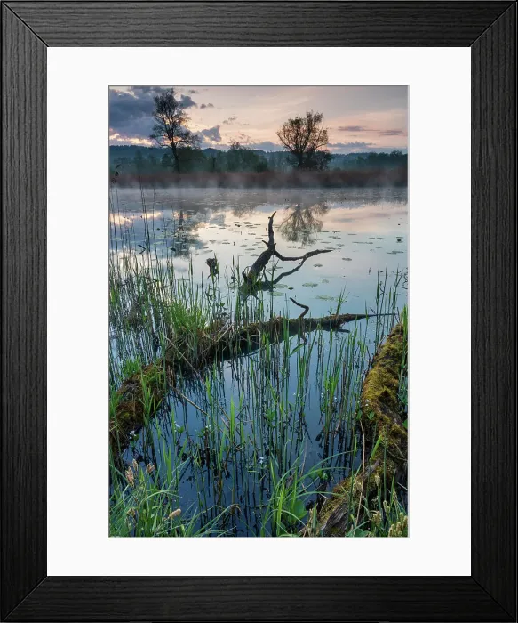 Framed Print : Switzerland, Canton of Aargau, Reuss river, morning light Framed Print : Switzerland, Canton of Aargau, Reuss river, morning light