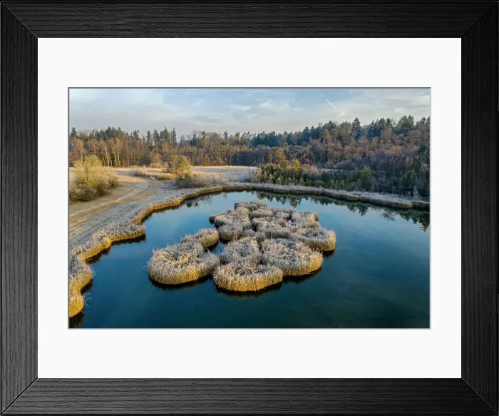 Framed Print : Switzerland, Canton of Thurgau, pond, floating islands Framed Print : Switzerland, Canton of Thurgau, pond, floating islands
